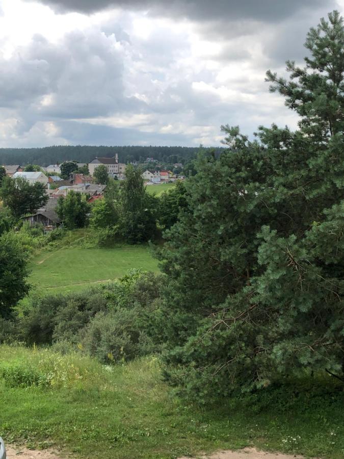 Kraslava City Apartment Zewnętrze zdjęcie